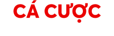 Trang cá cược bóng đá